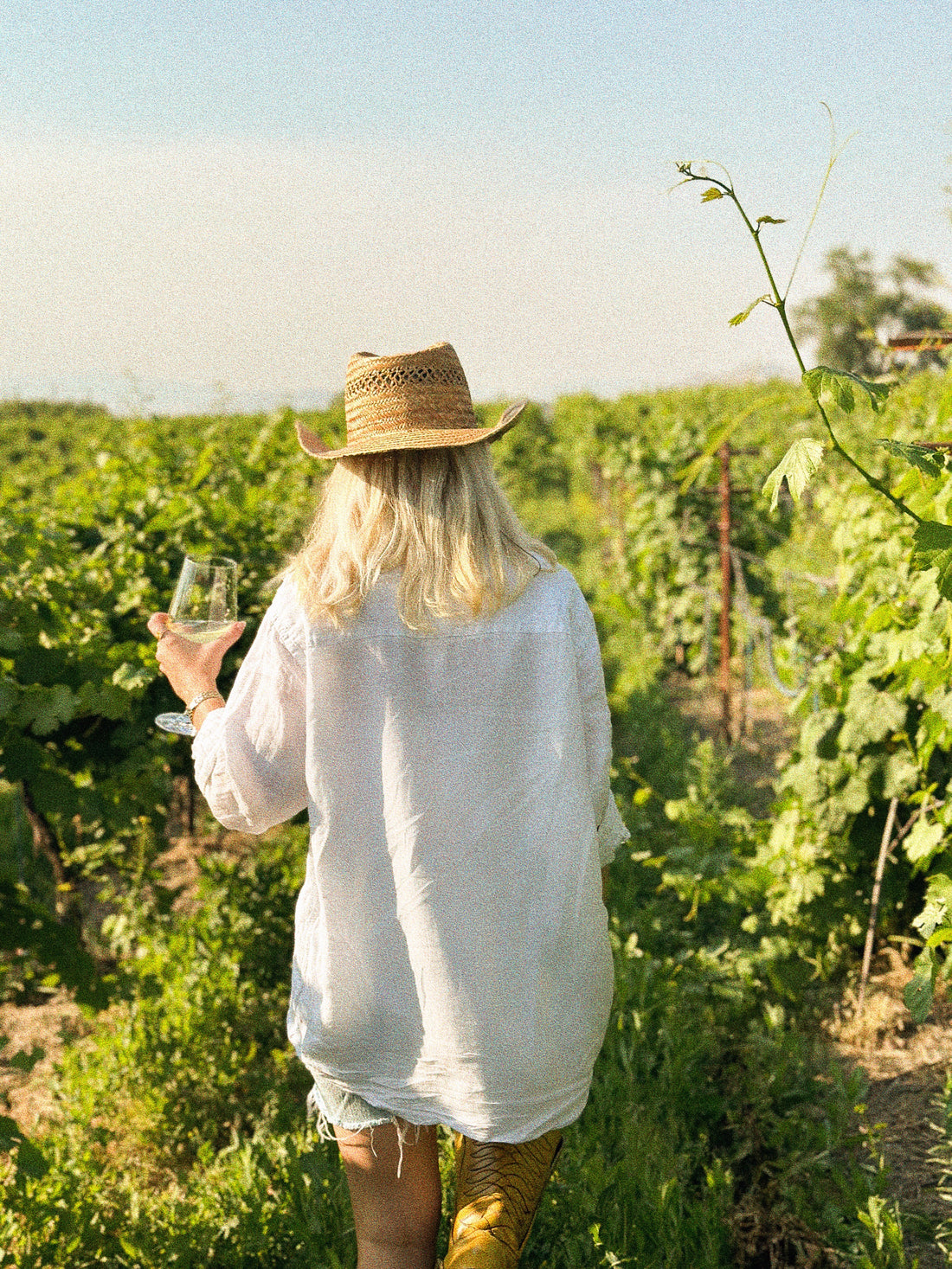 Mulher de chapéu caminhando num vinhedo