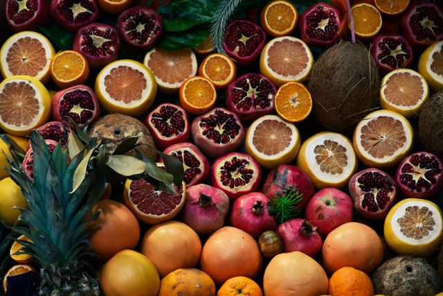 Prebiótico vs probiótico: qual a diferença e quando usar cada um