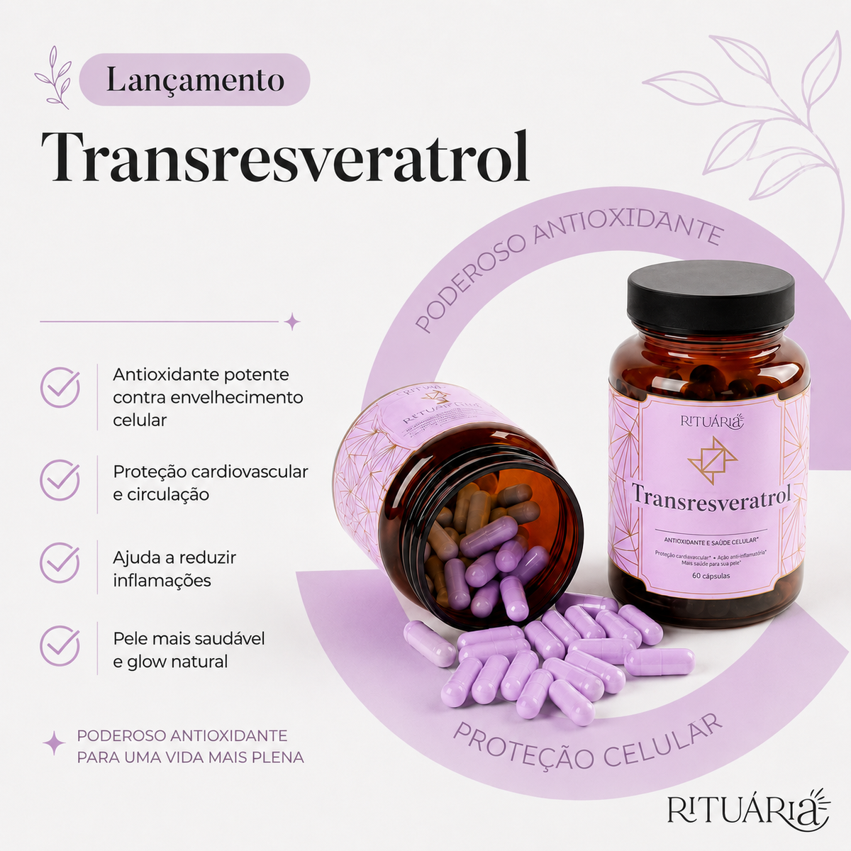 Transresveratrol Rituária