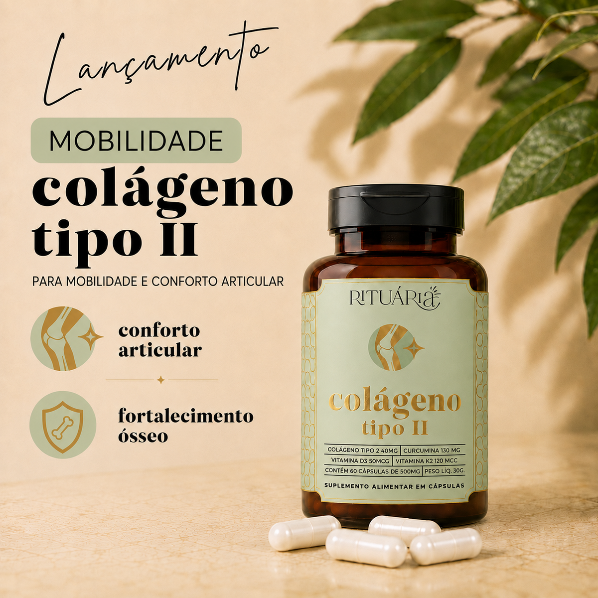 Colágeno Tipo ll